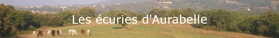 Les écuries d'Aurabelle