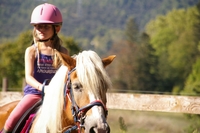 Les chevaux d'Aurabelle à Gréoux les bains